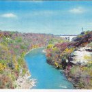 New York Postcard Rochester Genesee River Gorge Autumn Scene