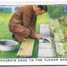 Wills Cigarette Card Garden Hints #3 Concrete Edge To Flower Border