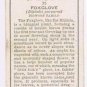 Wills Cigarette Card Wild Flowers #35 Foxglove Figwort