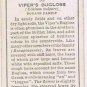 Wills Cigarette Card Garden Flowers #33 Viper's Bugloss Borage Family