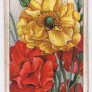 Wills Cigarette Card Garden Flowers #22 Geums