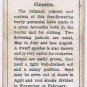 Wills Cigarette Card Garden Flowers #22 Geums