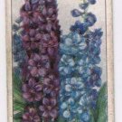 Wills Cigarette Card Garden Flowers #17 Delphiniums