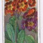 Wills Cigarette Card Garden Flowers #36 Polyanthus