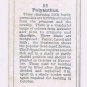 Wills Cigarette Card Garden Flowers #36 Polyanthus