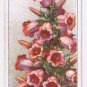 Wills Cigarette Card Garden Flowers #10 Canterbury Bell