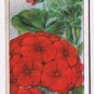Wills Cigarette Card Garden Flowers #21 Geranium