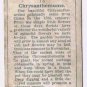 Wills Cigarette Card Garden Flowers #13 Chrysanthemums