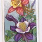 Wills Cigarette Card Garden Flowers #4 Columbines Aquilegias