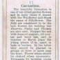 Wills Cigarette Card Garden Flowers #11 Carnation