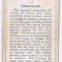 Wills Cigarette Card Garden Flowers #2 Anemones