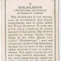 Wills Cigarette Card Wild Flowers #3 Goldilocks