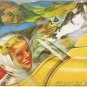 Postcard Glott Av Norge Norway