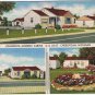 Michigan Postcard Cheboygan Johnson's Modern Cabins