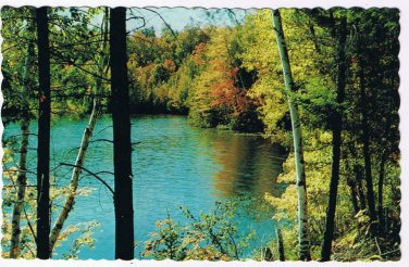 Ontario Postcard Owen Sound Scenic Trees River