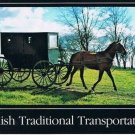 Amish Horse Buggy Postcard Indiana Michigan Traditional Transportation