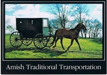 Amish Horse Buggy Postcard Indiana Michigan Traditional Transportation