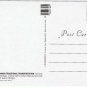 Amish Horse Buggy Postcard Indiana Michigan Traditional Transportation