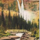 Postcard Twin Falls Yoho Valley Canadian Rockies British Columbia