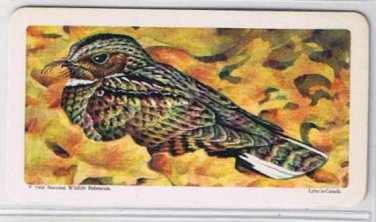 Brooke Bond Red Rose Tea Card #1 Whip Poor Will Canadian American Songbirds