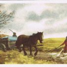 Belgium Illustration Card Our Glorys Historica Ltd The Padded Geese Huens