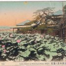 Japan Postcard Tokyo Lotus Flower Shinobazu Pond