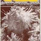 Vintage Travel Brochure 1960s Front Royal Virginia Skyline Caverns