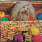 Postcard 3D Lenticular Dog In Basket With Wool Yarn