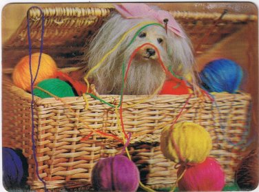 Postcard 3D Lenticular Dog In Basket With Wool Yarn