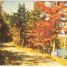 Ontario Postcard Heathcote Autumn Road by Lake