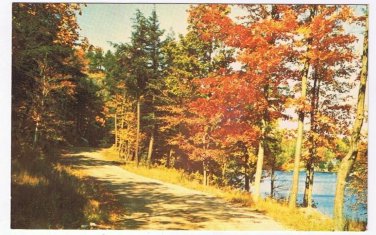 Ontario Postcard Heathcote Autumn Road by Lake