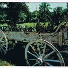 Texas Postcard Grapevine Old Cactus Wagon Austin Patio Dude Ranch