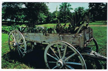 Texas Postcard Grapevine Old Cactus Wagon Austin Patio Dude Ranch