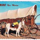 New Mexico Postcard Deming Old West Faithful Mule Conestoga Wagon