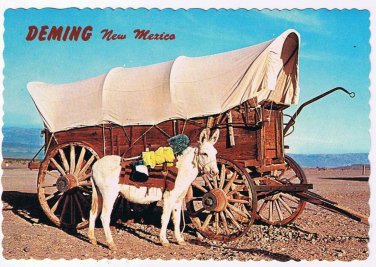 New Mexico Postcard Deming Old West Faithful Mule Conestoga Wagon