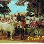 California Postcard Los Angeles Olvera Street Blessing Of The Animals