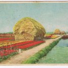 WWII Holland Postcard Haystack Military Postage Free Card from Soldier