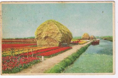 WWII Holland Postcard Haystack Military Postage Free Card from Soldier