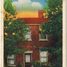 Postcard Mary Pickford Home University Ave Toronto Ontario