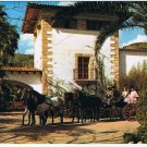 Spain Postcard Mallorca Fiesta Andaluza Cortijo Ses Rotes 6 Horse Carriage