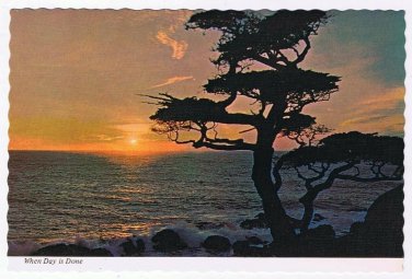 California Postcard When Day Is Done Tree Ocean Sunset