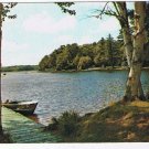 Ontario Postcard Heathcote Birch Trees Lake Boat At Pier