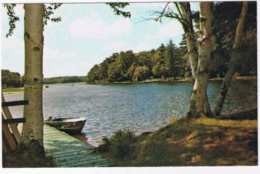 Ontario Postcard Heathcote Birch Trees Lake Boat At Pier