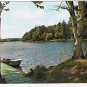 Ontario Postcard Heathcote Birch Trees Lake Boat At Pier