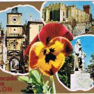 France Postcard Views Of Salon de Provence Pansy