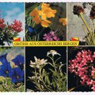 Austria Postcard The Flowers Of Austria Bergen