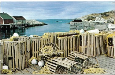 Nova Scotia Postcard Lobster Traps Ready To Go