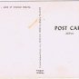 Postcard Sunset Palms Florida Land Of Tropical Beauty