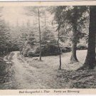 Germany Postcard RPPC Bad Georgenthal I Thuringer Partie am Berenwig