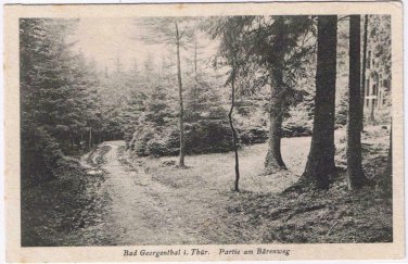 Germany Postcard RPPC Bad Georgenthal I Thuringer Partie am Berenwig